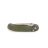 Knife Ganzo G727M (Green)