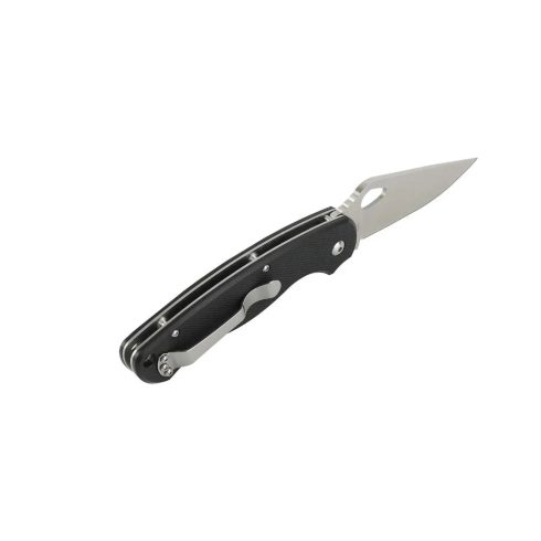 Knife Ganzo G729 (Black)