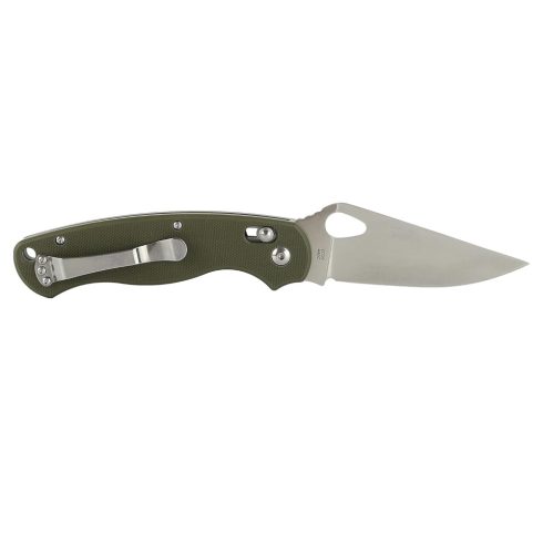 Knife Ganzo G729 (Green)