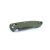 Knife Ganzo G740 (Green)