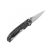 Knife Ganzo G7531 - Black