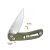 Ganzo G7531 knife (Green)