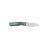 Knife Ganzo G771 - Green