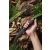 Ganzo G806BW - fixed handle knife with belt clip - Black